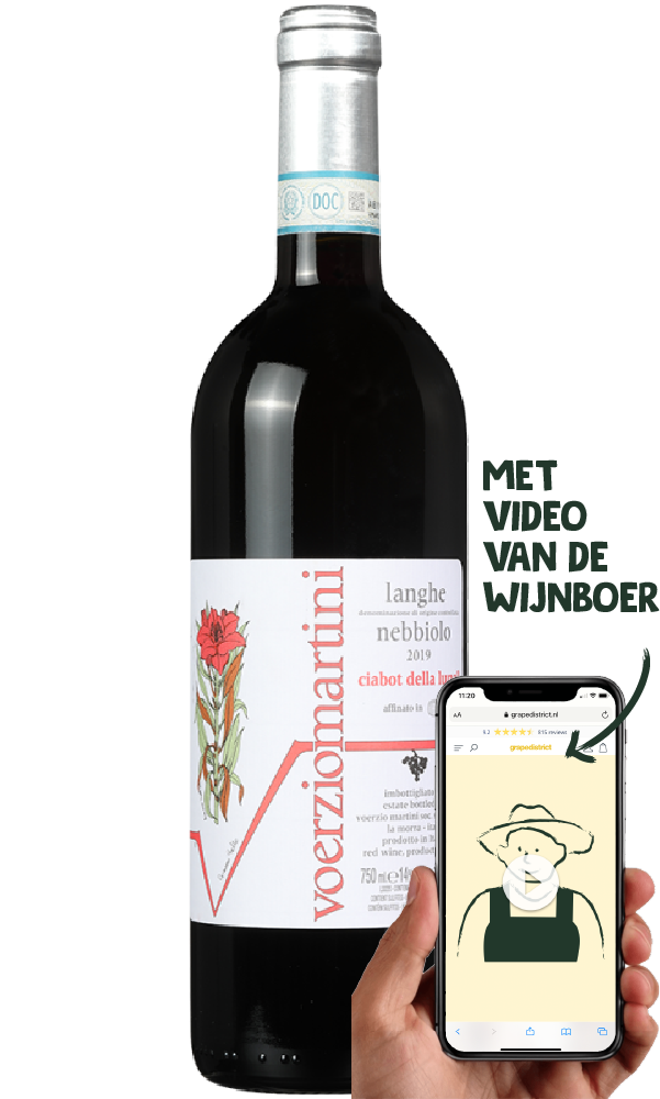 Voerzio Martini Langhe Nebbiolo
