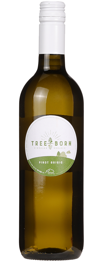 Treeborn Organic Pinot Grigio
