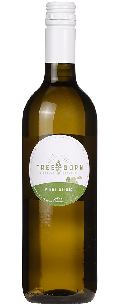 Treeborn Veneto Pinot Grigio