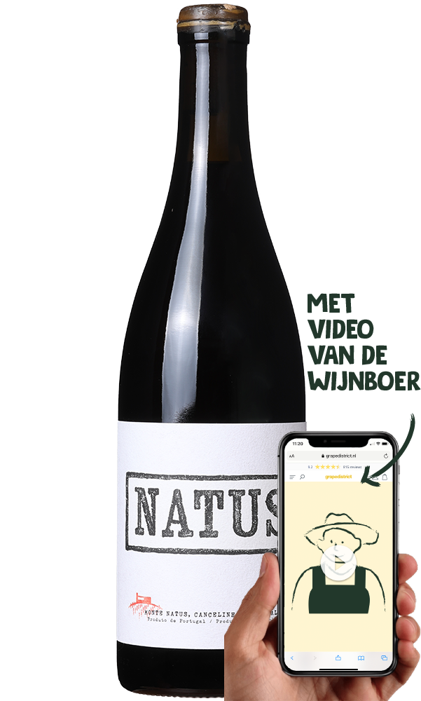 Natus Tinto