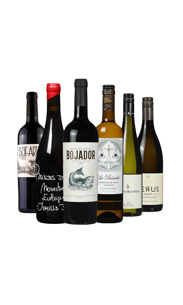 Tasting box 'get to know Grapedistrict'