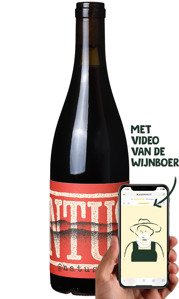 Natus Intus Tinto