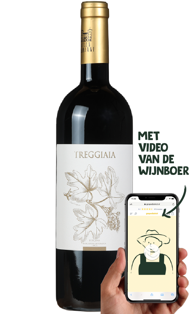 Villa Bibbiani Treggiaia Toscana IGT