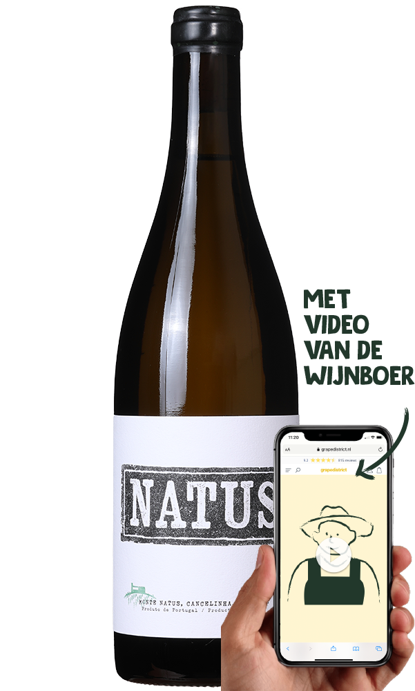 Natus Branco