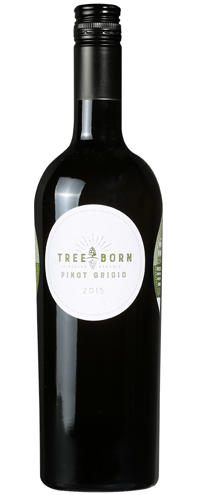 Treeborn Veneto Pinot Grigio