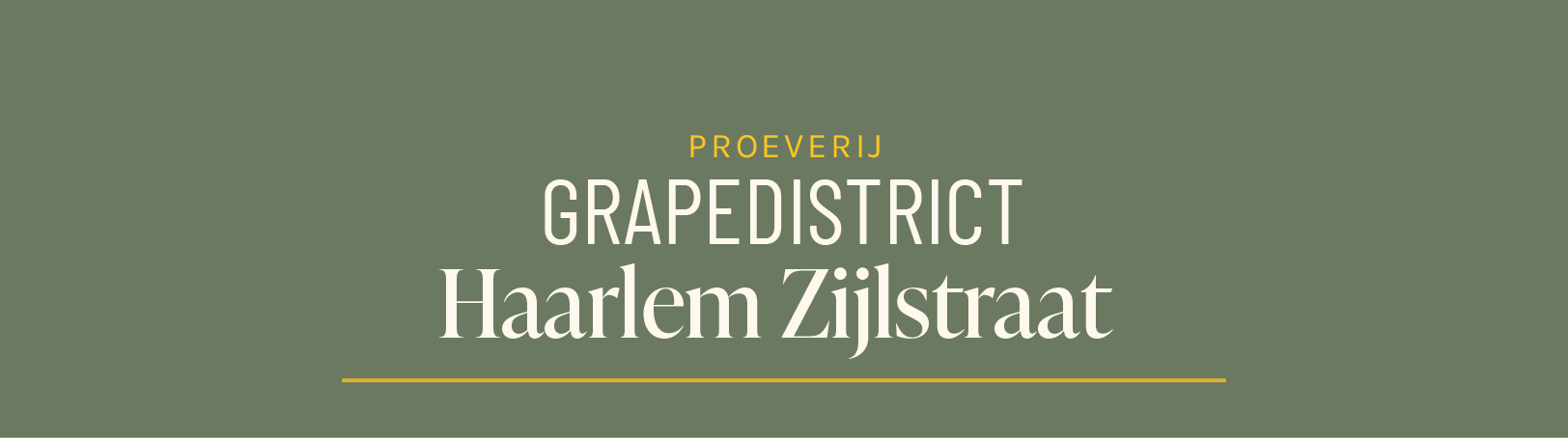 Proeverij Grapedistrict Haarlem Zijlstraat