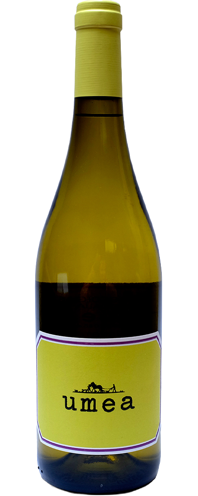 Umea Garnacha Blanca